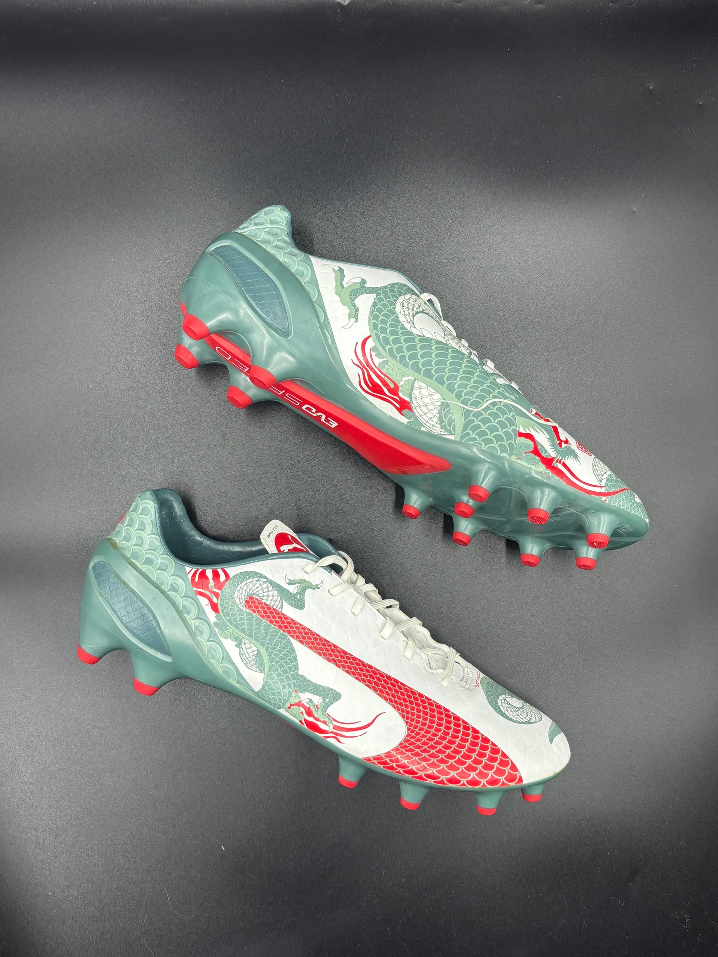 Puma Evopower FG