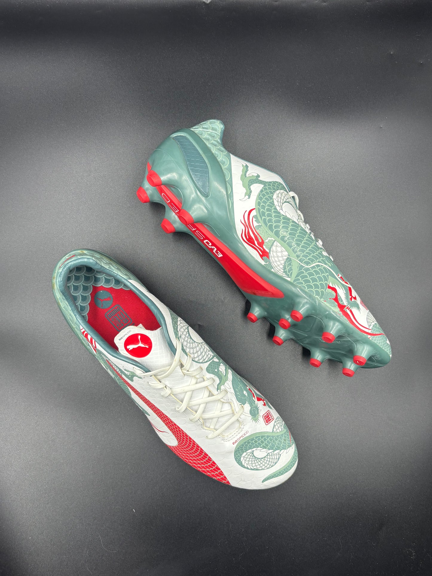 Puma Evopower FG